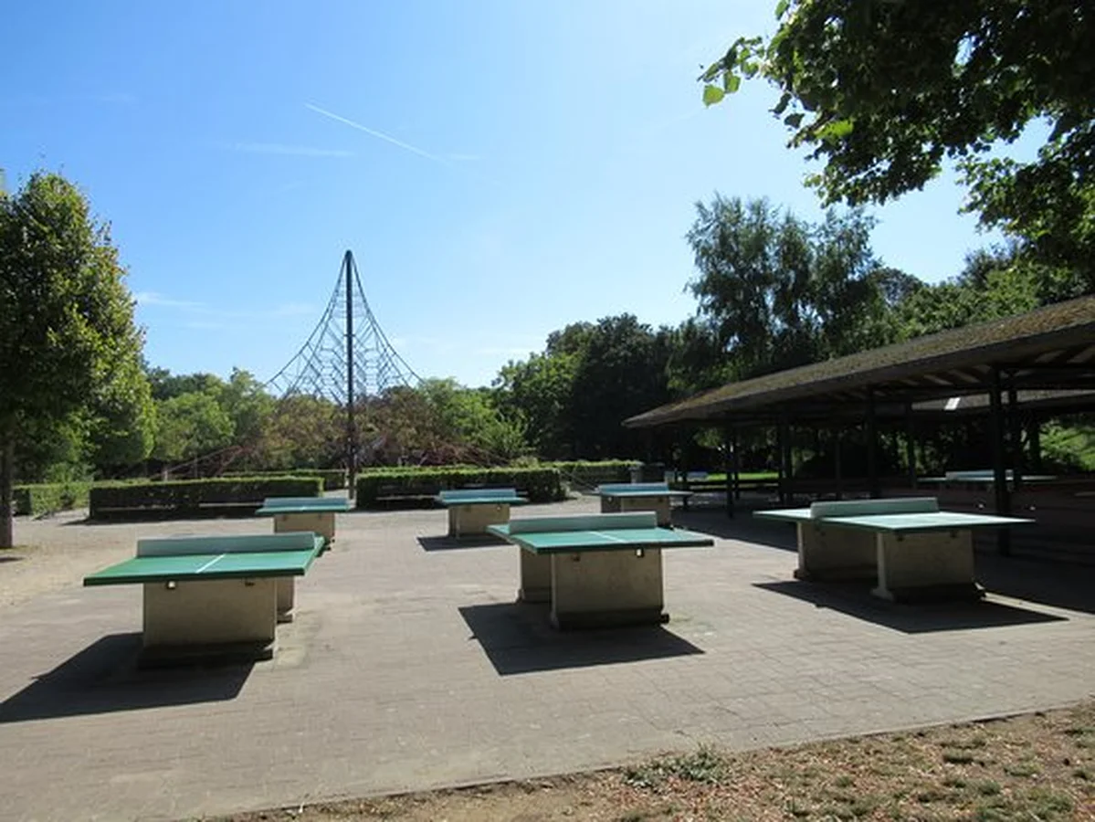Ping pong