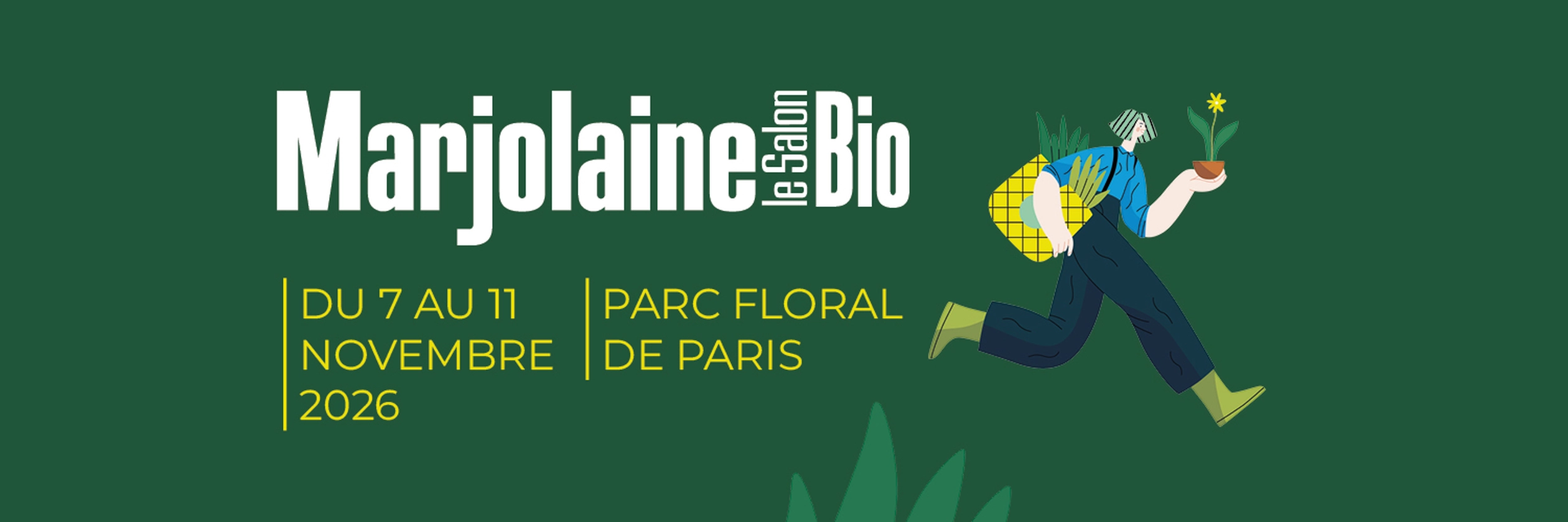 Marjolaine